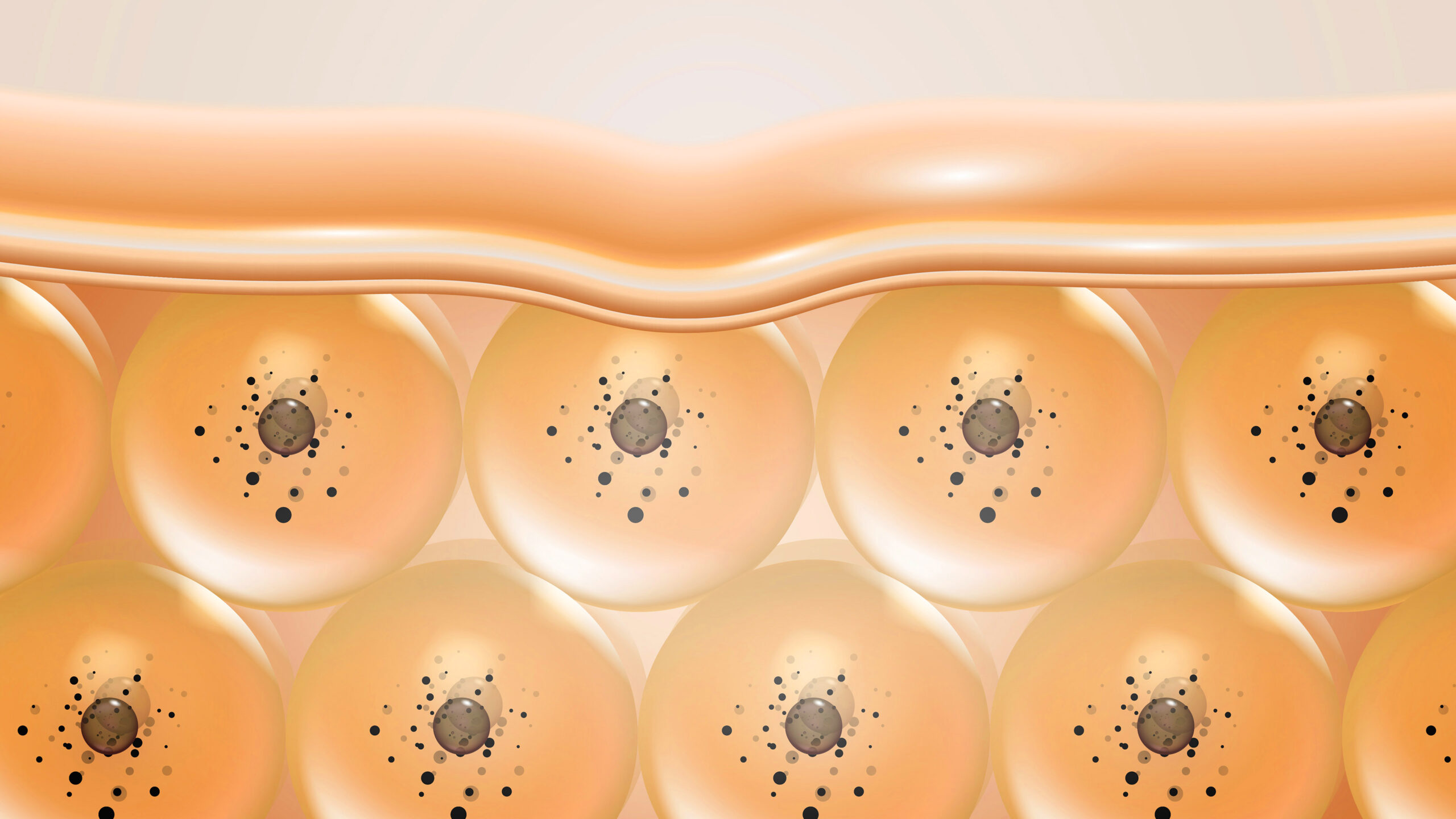 Interfering with Melanin Formation